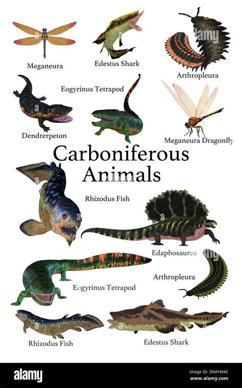 carboniferous era animals